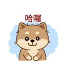 マランちゃんの毎日が楽しい！ 台湾語（個別スタンプ：1）