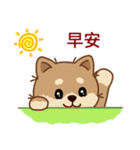 マランちゃんの毎日が楽しい！ 台湾語（個別スタンプ：4）