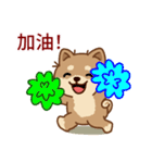 マランちゃんの毎日が楽しい！ 台湾語（個別スタンプ：6）