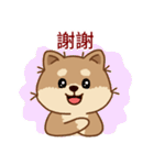 マランちゃんの毎日が楽しい！ 台湾語（個別スタンプ：7）