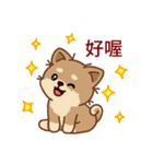マランちゃんの毎日が楽しい！ 台湾語（個別スタンプ：10）