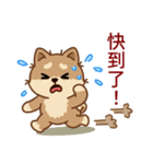 マランちゃんの毎日が楽しい！ 台湾語（個別スタンプ：13）