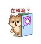 マランちゃんの毎日が楽しい！ 台湾語（個別スタンプ：16）