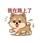 マランちゃんの毎日が楽しい！ 台湾語（個別スタンプ：17）