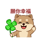 マランちゃんの毎日が楽しい！ 台湾語（個別スタンプ：22）