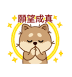 マランちゃんの毎日が楽しい！ 台湾語（個別スタンプ：24）