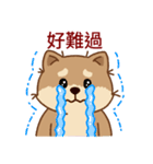 マランちゃんの毎日が楽しい！ 台湾語（個別スタンプ：29）