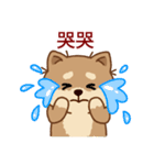 マランちゃんの毎日が楽しい！ 台湾語（個別スタンプ：30）