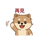 マランちゃんの毎日が楽しい！ 台湾語（個別スタンプ：36）