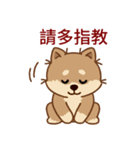 マランちゃんの毎日が楽しい！ 台湾語（個別スタンプ：37）