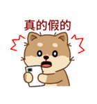 マランちゃんの毎日が楽しい！ 台湾語（個別スタンプ：39）