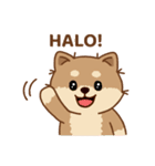 マランちゃんはかわいい - インドネシア語（個別スタンプ：1）