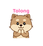 マランちゃんはかわいい - インドネシア語（個別スタンプ：14）