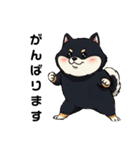 毎日使える日常会話  【ぽっちゃり黒柴】（個別スタンプ：2）