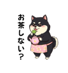 毎日使える日常会話  【ぽっちゃり黒柴】（個別スタンプ：4）
