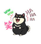 毎日使える日常会話  【ぽっちゃり黒柴】（個別スタンプ：7）