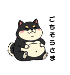 毎日使える日常会話  【ぽっちゃり黒柴】（個別スタンプ：8）