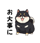 毎日使える日常会話  【ぽっちゃり黒柴】（個別スタンプ：14）