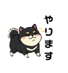 毎日使える日常会話  【ぽっちゃり黒柴】（個別スタンプ：20）