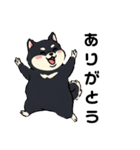 毎日使える日常会話  【ぽっちゃり黒柴】（個別スタンプ：31）