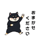 毎日使える日常会話  【ぽっちゃり黒柴】（個別スタンプ：34）