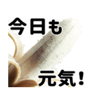 さまざまなバナナ♡(毎日使えて超便利エロ)（個別スタンプ：2）
