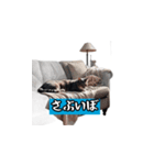 関西osaka弁（個別スタンプ：27）