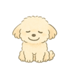 もふもふプードルくん（個別スタンプ：4）