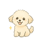 もふもふプードルくん（個別スタンプ：6）
