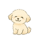 もふもふプードルくん（個別スタンプ：7）