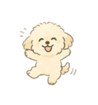 もふもふプードルくん（個別スタンプ：8）
