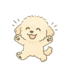 もふもふプードルくん（個別スタンプ：9）