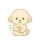 もふもふプードルくん（個別スタンプ：10）