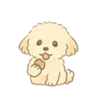 もふもふプードルくん（個別スタンプ：11）