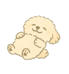 もふもふプードルくん（個別スタンプ：12）