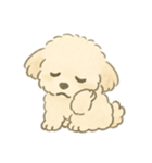 もふもふプードルくん（個別スタンプ：14）
