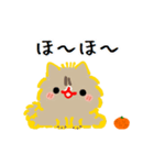 私はオレンジちゃんでーす。（個別スタンプ：10）