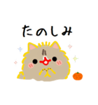 私はオレンジちゃんでーす。（個別スタンプ：21）