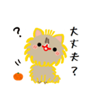 私はオレンジちゃんでーす。（個別スタンプ：28）