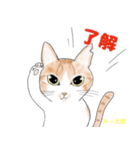 ぼくちん、みー太郎（個別スタンプ：4）