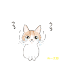 ぼくちん、みー太郎（個別スタンプ：8）