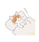 ぼくちん、みー太郎（個別スタンプ：11）