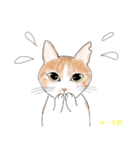 ぼくちん、みー太郎（個別スタンプ：13）