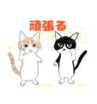 ぼくちん、みー太郎（個別スタンプ：15）