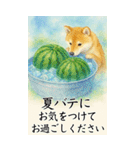 ずっと使える大人のご挨拶【夏】（個別スタンプ：9）