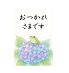 ずっと使える大人のご挨拶【夏】（個別スタンプ：38）