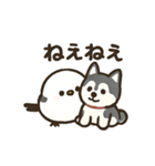シマ姫の日常（個別スタンプ：1）