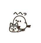 シマ姫の日常（個別スタンプ：5）