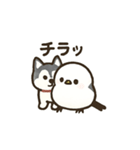 シマ姫の日常（個別スタンプ：6）