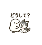 シマ姫の日常（個別スタンプ：9）